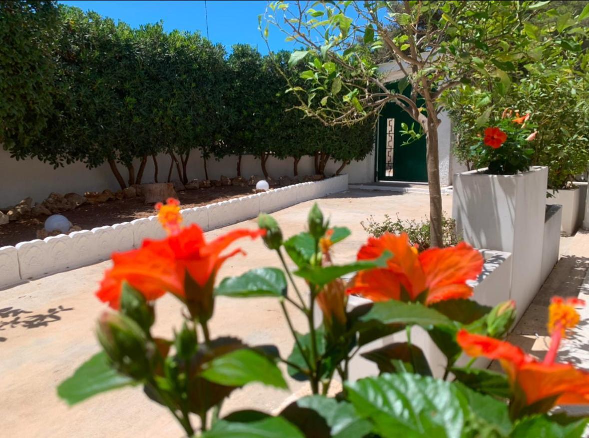 מארוג'ו Villa Lucia מראה חיצוני תמונה