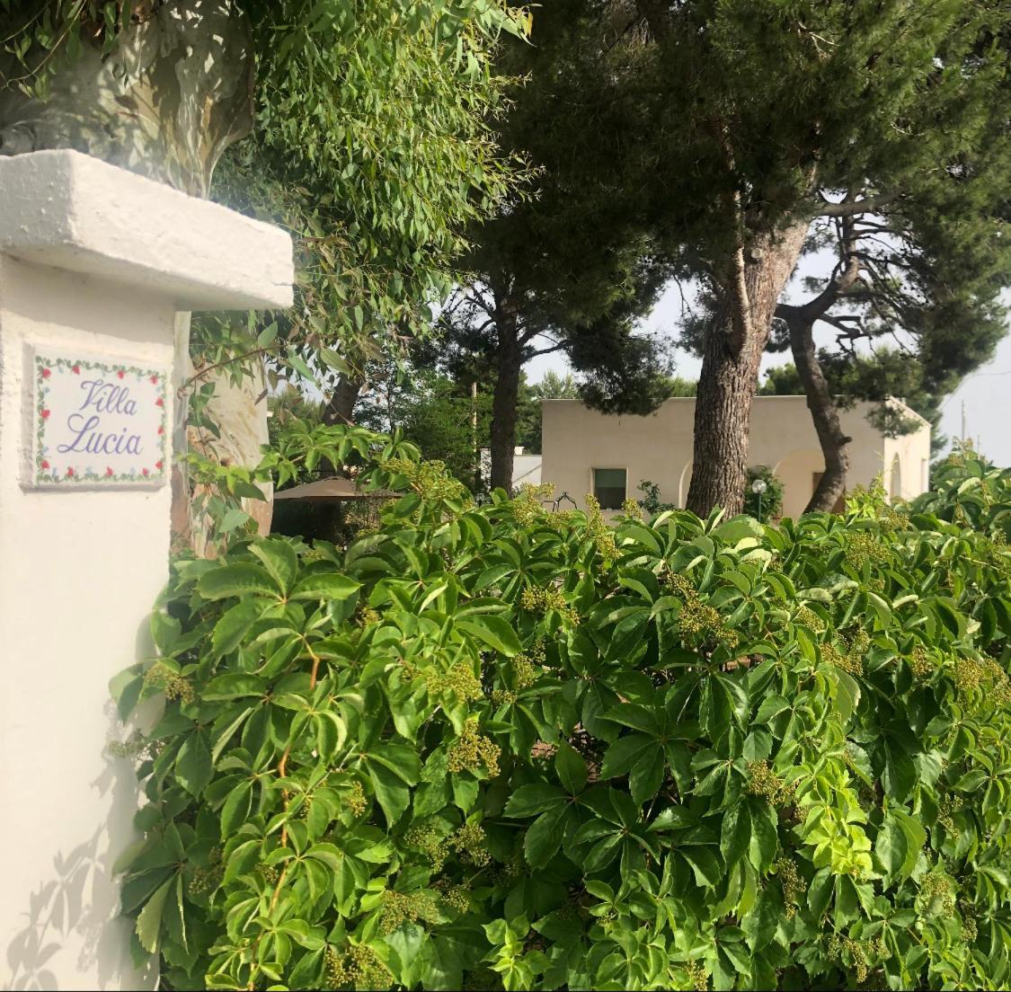 מארוג'ו Villa Lucia מראה חיצוני תמונה